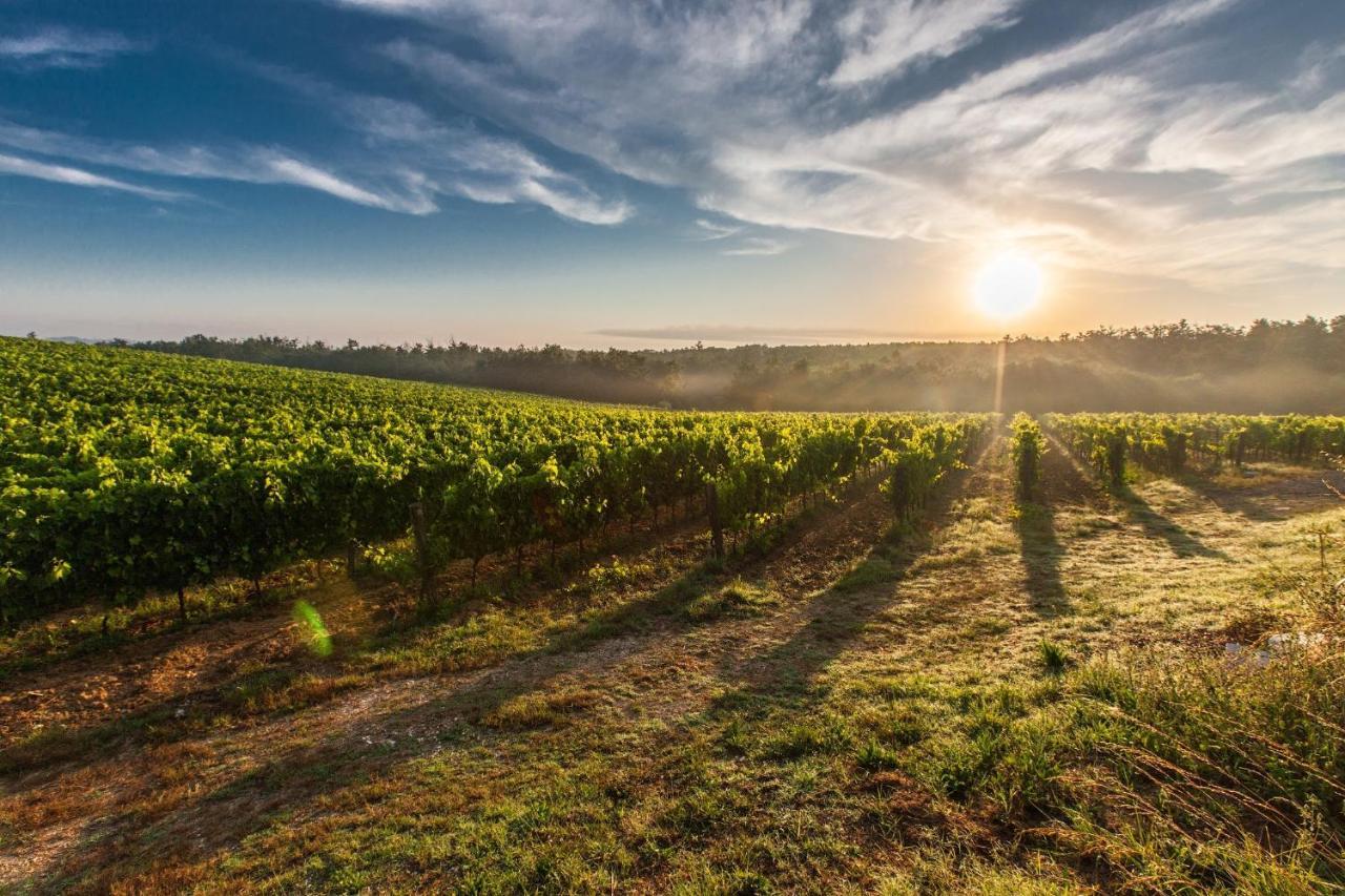 Il Palco Montepulciano, Vista Incredibile, 150Mt Da Piazza Grande公寓 外观 照片